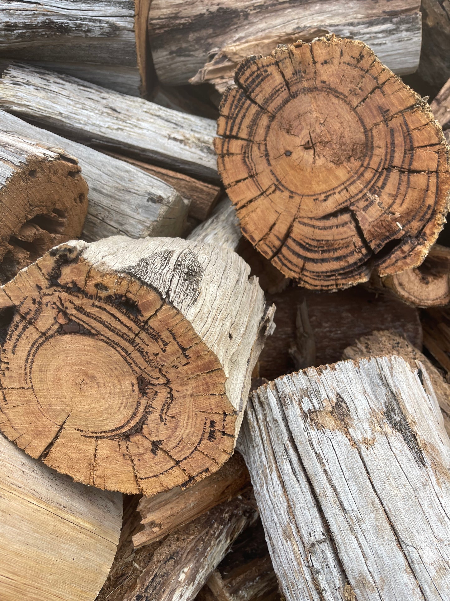 Little Logs - (Free Delivery)