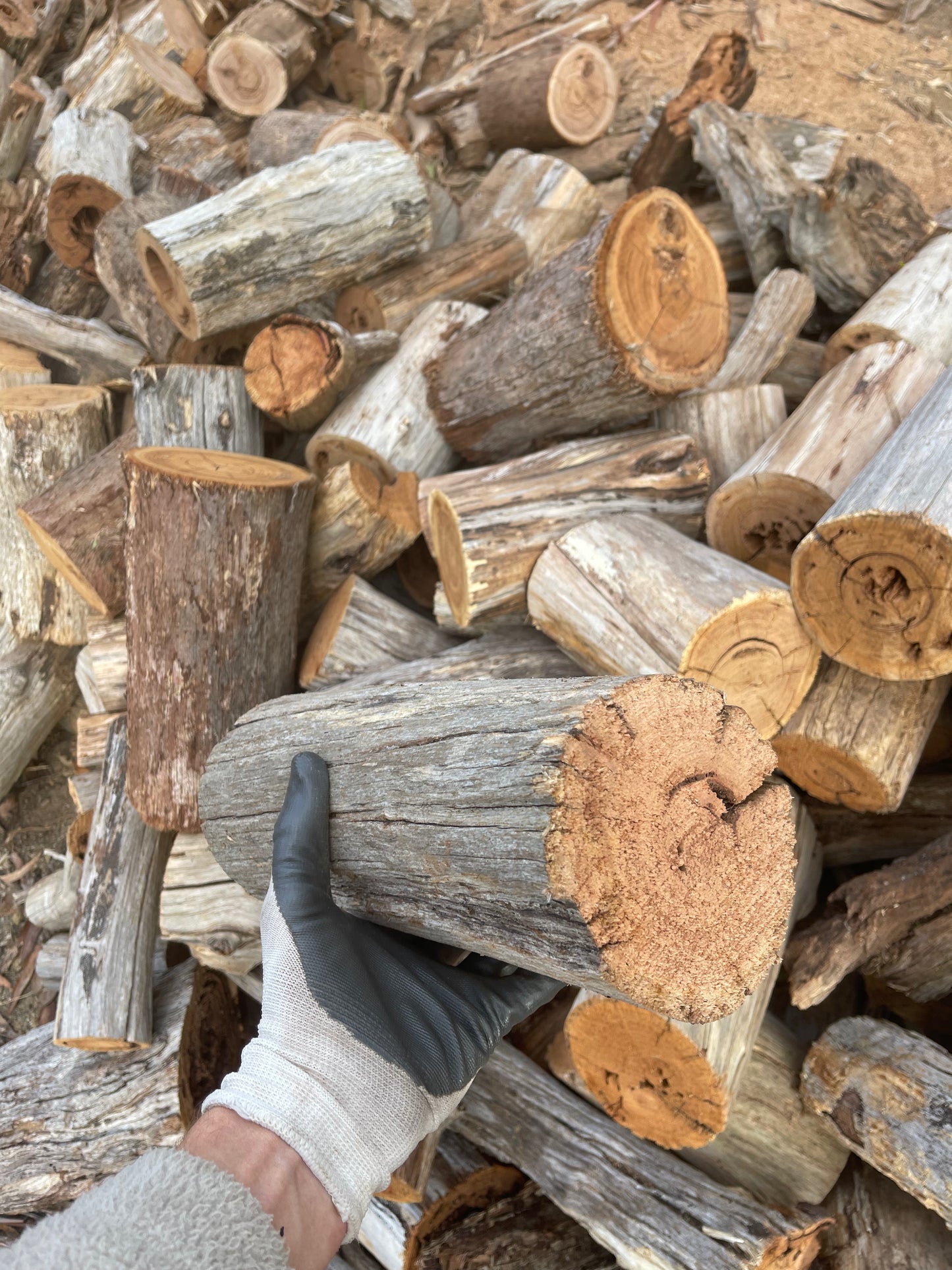 Little Logs - (Free Delivery)